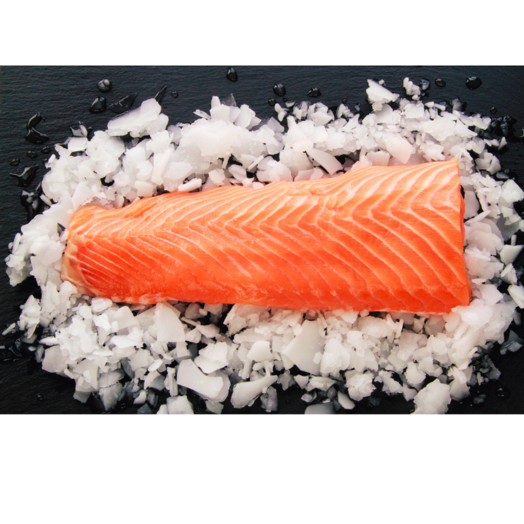 Fresh Salmon