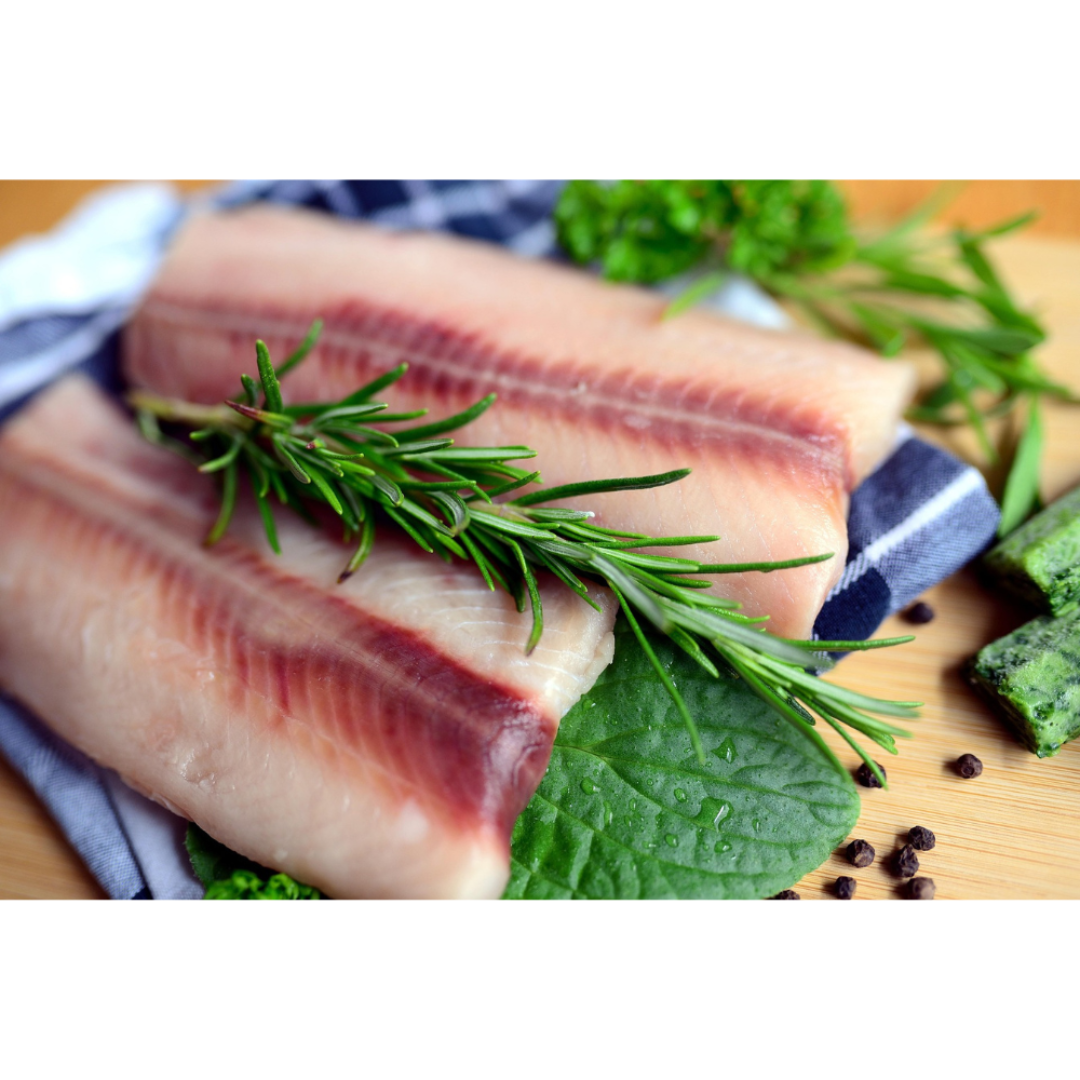Fresh Snapper