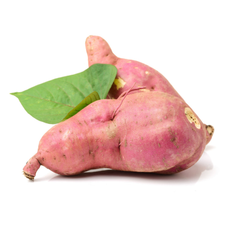 Kumara Red
