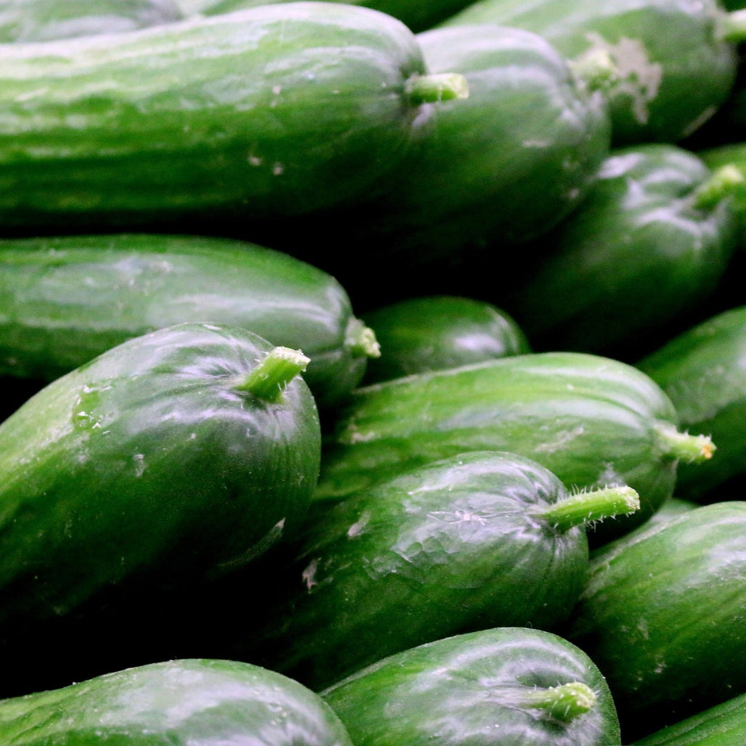 Telegraph Cucumber