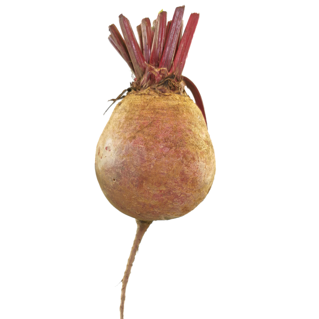 beetroot3