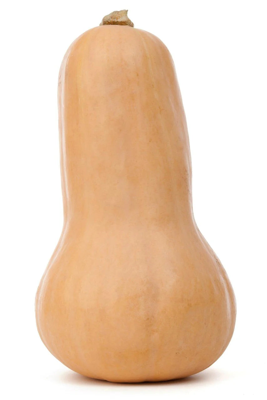 butternutpumpkin3