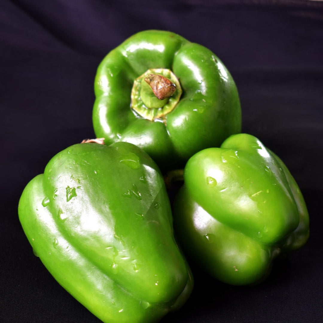 capsicumgreen3