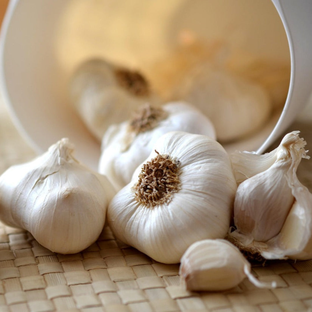 garlic2