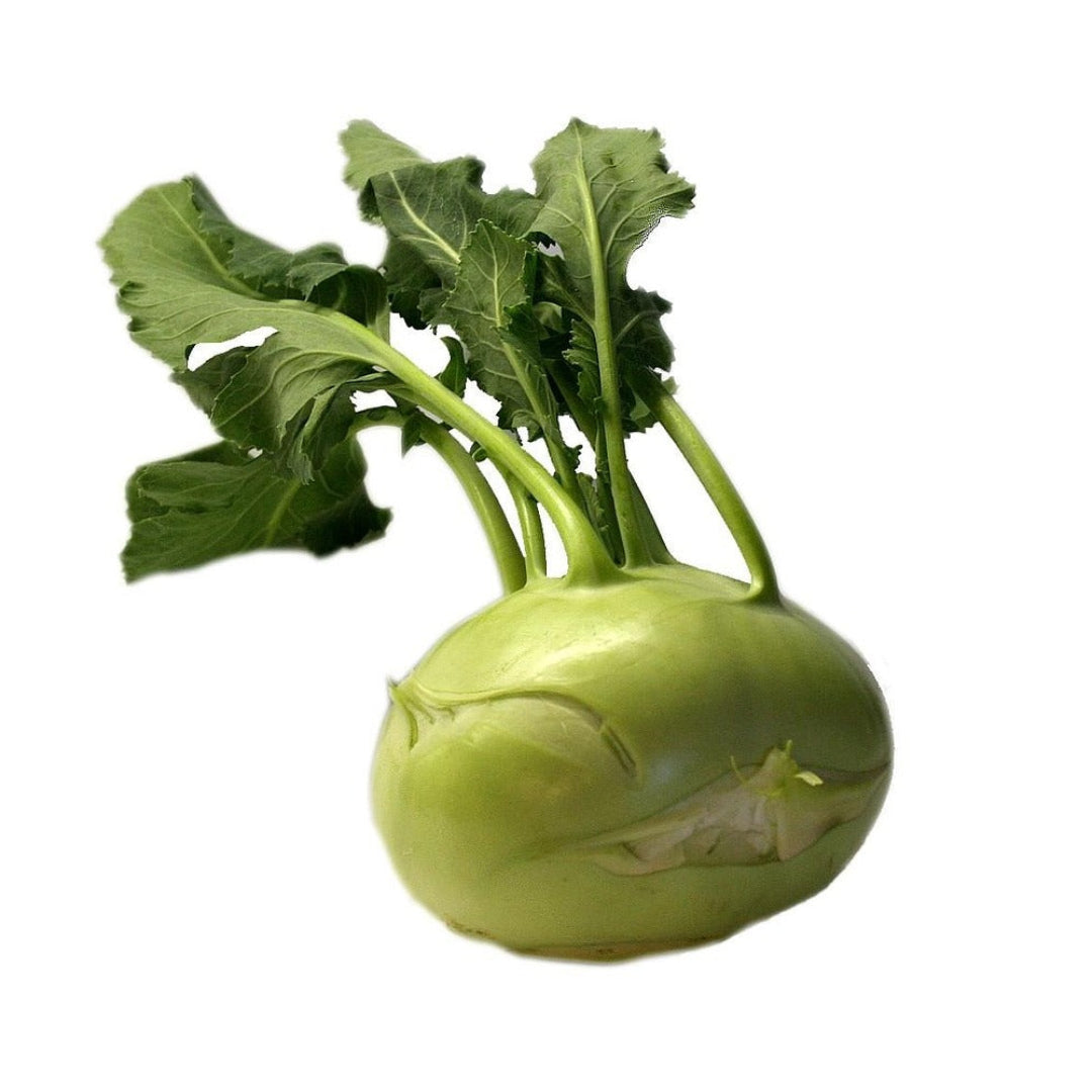 kohlrabi3