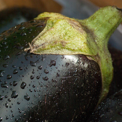 Aubergine Eggplant