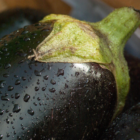 Aubergine Eggplant
