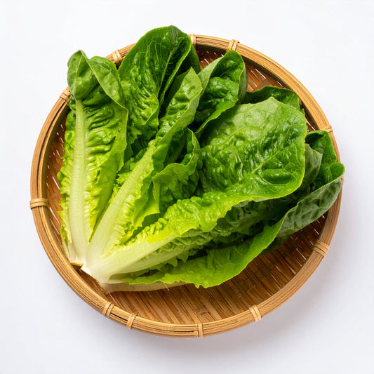 Lettuce - Baby Cos 