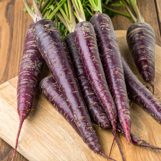 Whole Purple Carrots