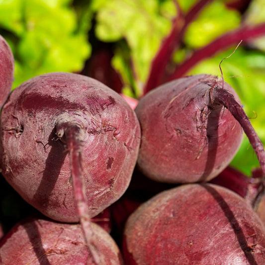 beetroot1