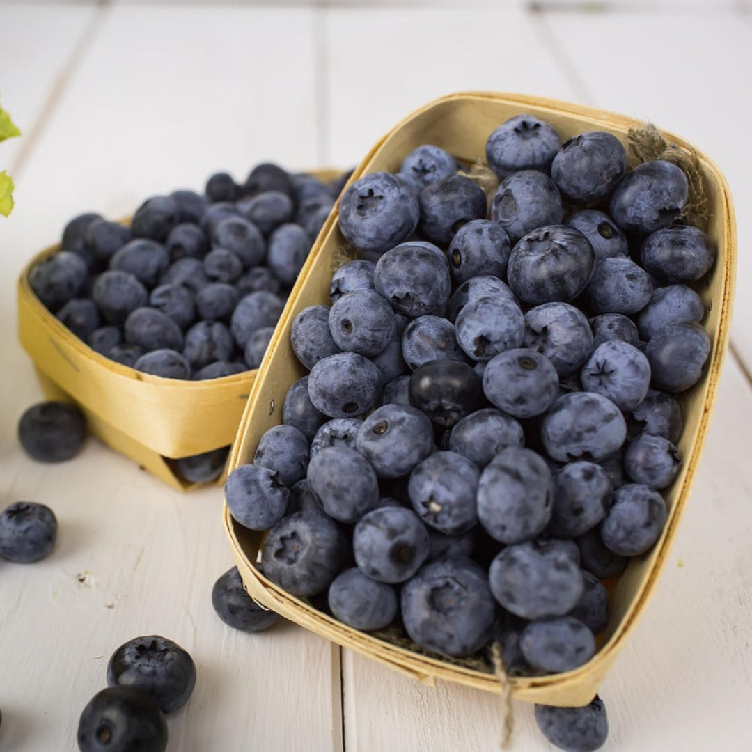 blueberriespunnet1