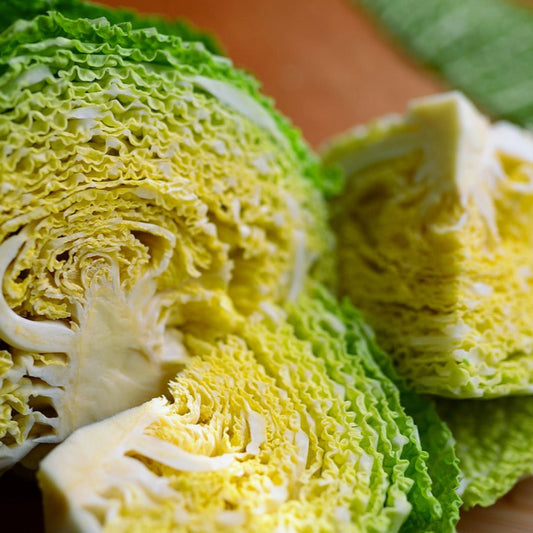 cabbagesavoy1