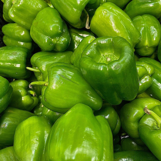 capsicumgreen1
