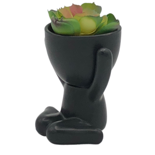 Super Cute Novelty Plant Pots - Joyful