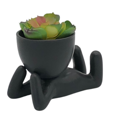 Super Cute Novelty Plant Pots - Restful