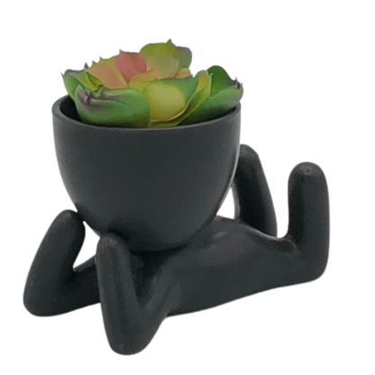 Super Cute Novelty Plant Pots - Restful