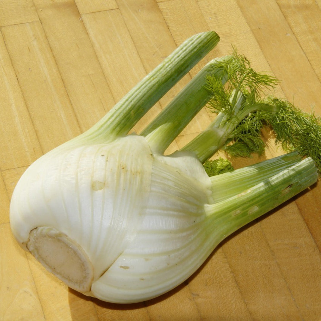fennelbulb3