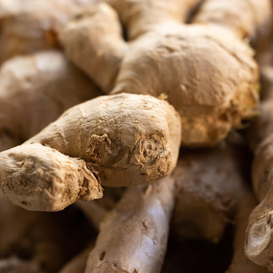 ginger1