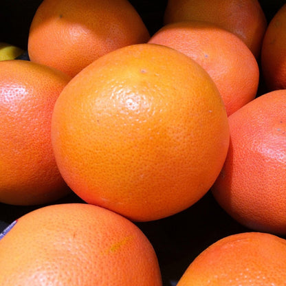 grapefruit1