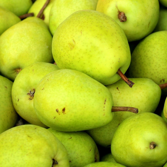 pears1