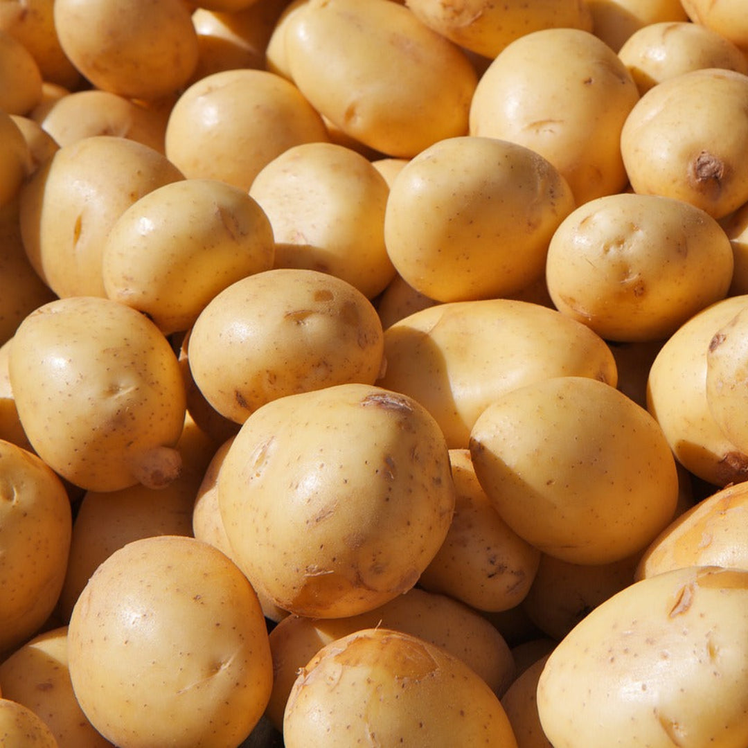 potatoeswashed1