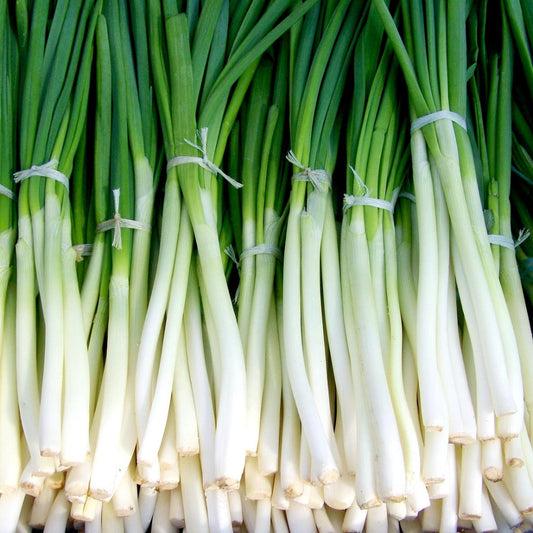springonions1