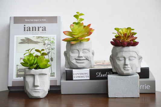 Baby Buddha Planters with Succulents - Set of 3